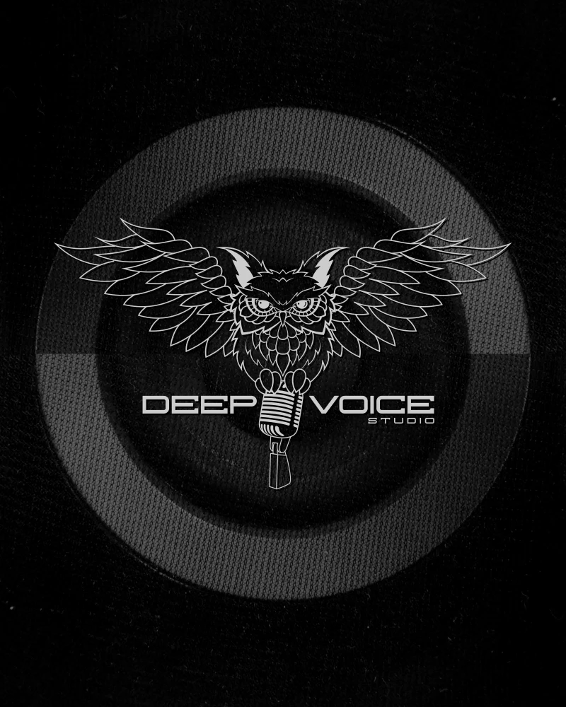 voice studio logo